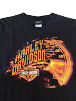 Load image into Gallery viewer, Vintage Harley Davidson T-shirt L
